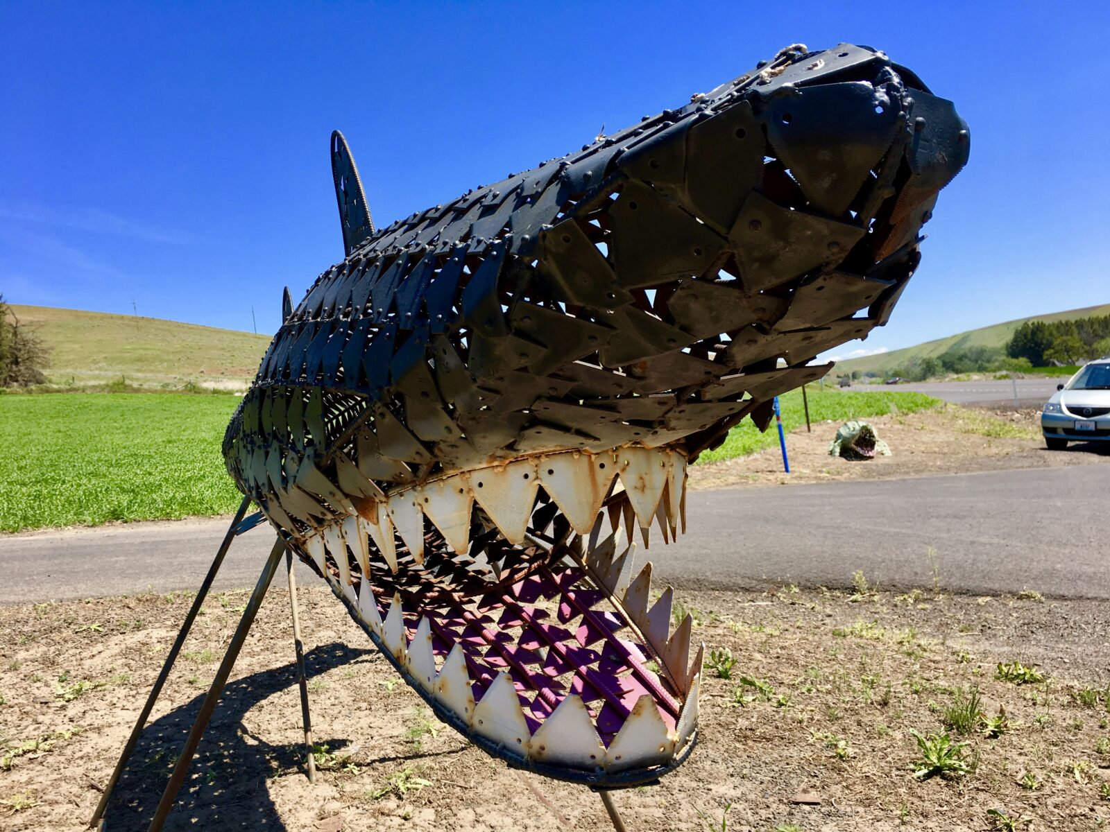 Metallic shark - black top, white teeth, red tongue. Held up by metal braces.