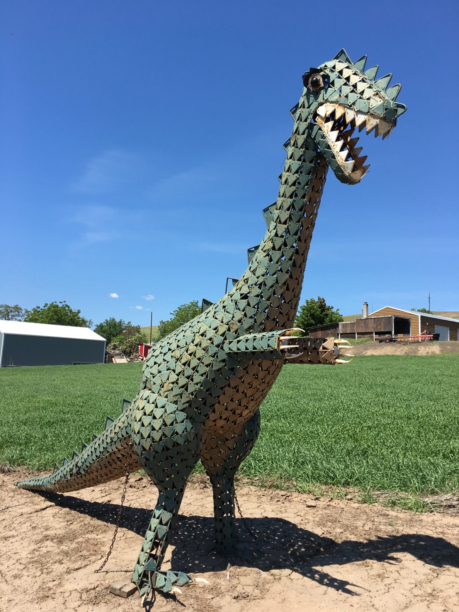 T-Rex, having aged 7 years from the weathering, is now green.  